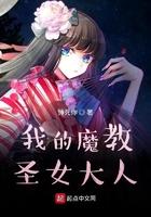 我的魔教教主老婆