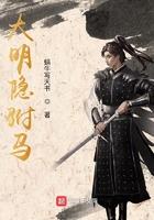 大明驸马传gltxt