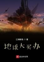 地球大吗
