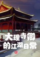 大理寺卿讲的是什么