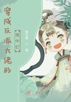 穿成反派大佬的 mirror