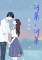 阿莱集锦