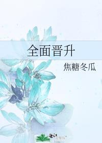 全面晋级好看吗
