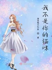 我不是猫歌曲