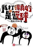 我打的是真的篮球
