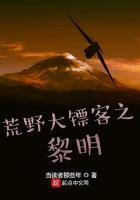 荒野大镖客全部攻略