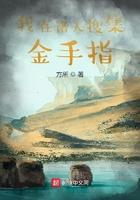 在诸天开启无数金手指