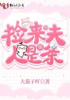 捡来的夫君是皇上