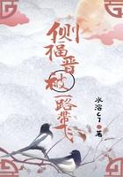 侧福晋的孩子