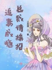 总裁追妻很上瘾