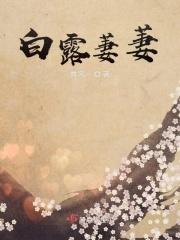蒹葭萋萋白露未晞出自哪里