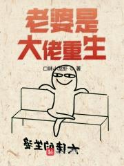 我老婆是大佬