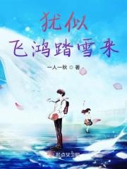 飞鸿踏雪对什么