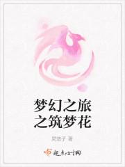 梦幻之旅的意思是什么