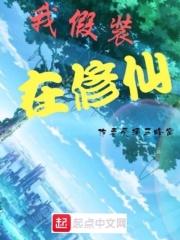 我在假装在等候什么歌