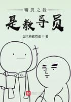 精灵之我不是训练家