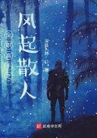 全职高手风起散人免费阅读