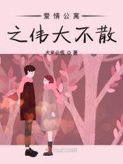 爱情公寓伟大车文