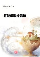 我能看见经验值境界