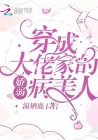 穿成大佬家的娇弱病美人温栖鹿免费阅读