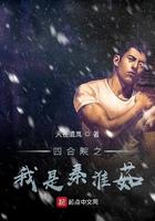 四合院之我是秦淮茹的丈夫