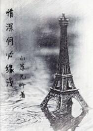 情深何必缘浅 小苏无叶