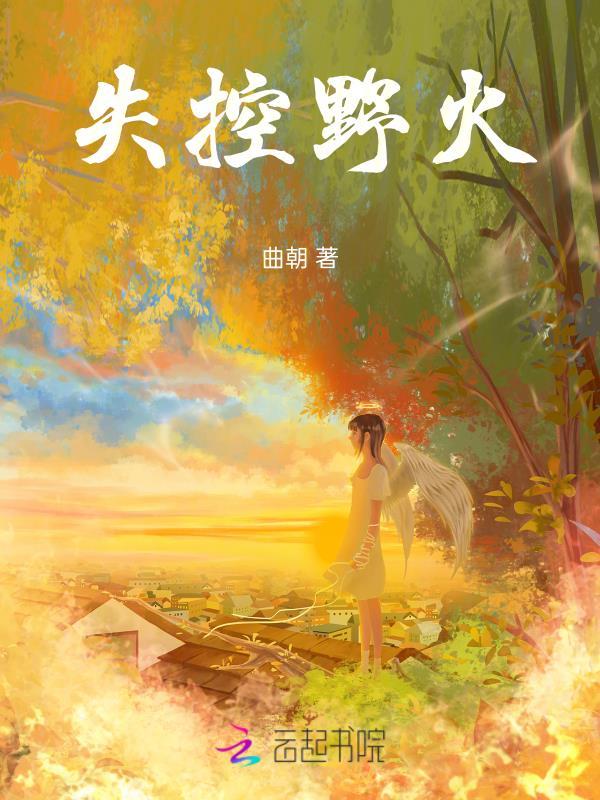 失控野火双男主
