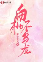 白桃乌龙是什么意思