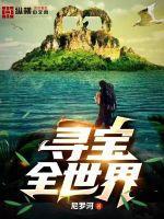 寻宝全世界书旗