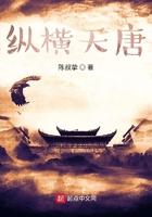 纵横天地