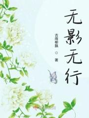 无影是什么意思