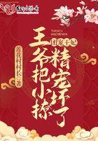 团宠小王妃王爷相公太凶猛!