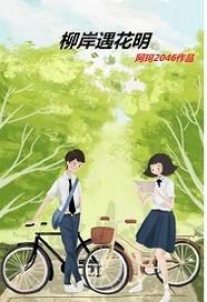 柳岸花明又一村的成语