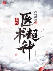 我的医术震惊世界作者湉喵