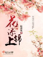 锦上添花菜