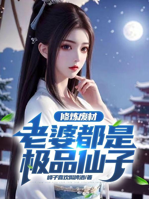 老婆都是极品仙子TXT