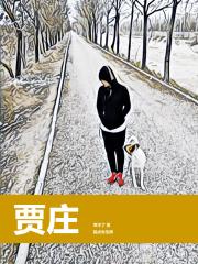 贾庄属于哪个县