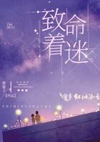 致命的痴迷剧情介绍