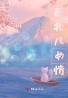 歌曲西北情原唱