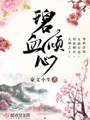 碧血电视剧
