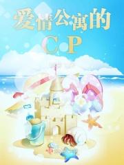 爱情公寓里的情侣