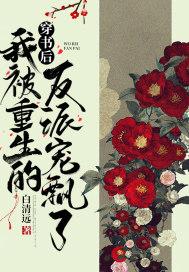 穿书后我被反派疯狂