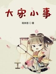大宋小宋是谁