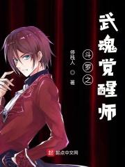 斗罗之武魂觉醒系统洛尘