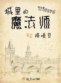 城里的魔法师TXT电子书