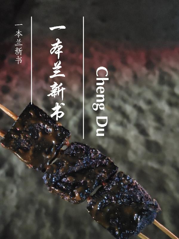 一本书共116集