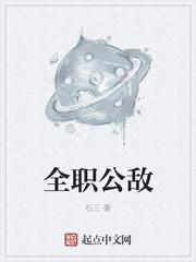 全职公敌电子书