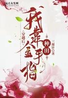 穿越后我靠晋江谋权