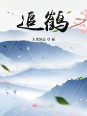 追鹤拳