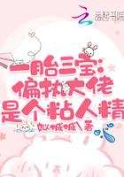 一胎三宝偏执大佬是个粘人精TXT